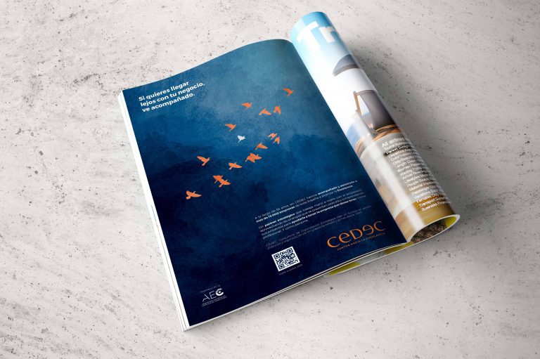 Cedec Mockup Magazinelow