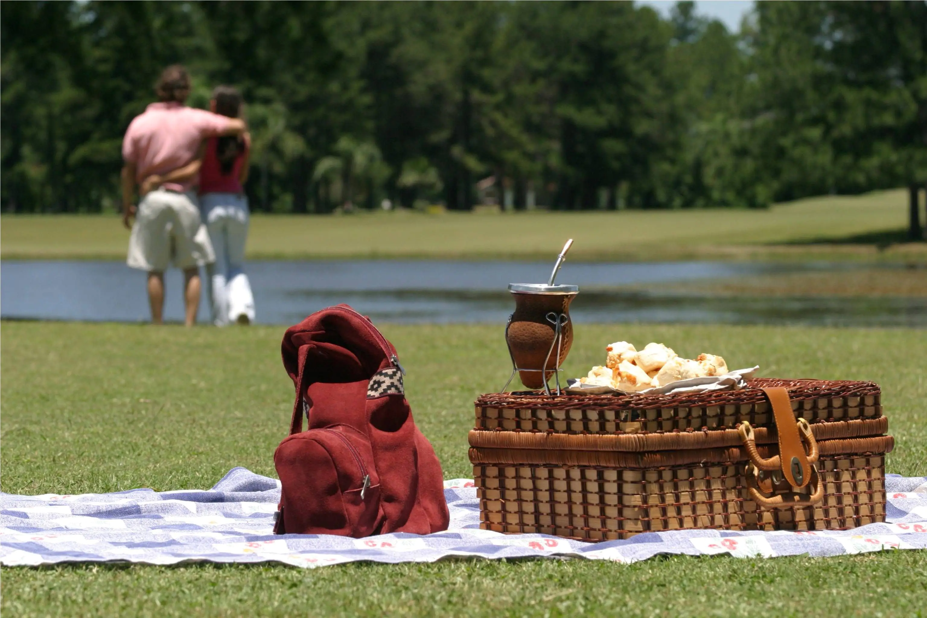 Mate: los secretos del oro verde argentino