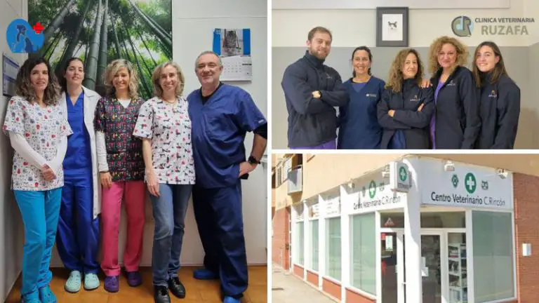 Unavets Da La Bienvenida A 3 Nuevas Clnicas Veterinarias