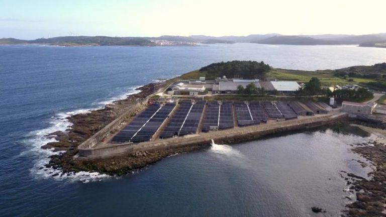 Europapress 5132439 Telefonica Tech Digitalizara 14 Granjas Acuicolas Stolt Sea Farm Cinco Anos