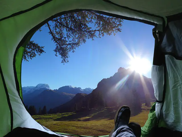 Camp 2445212