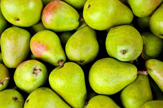 Fruits 1534494