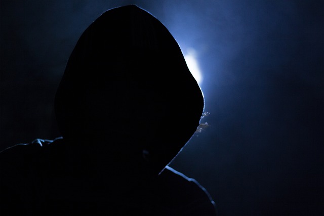 Hacker 1725256