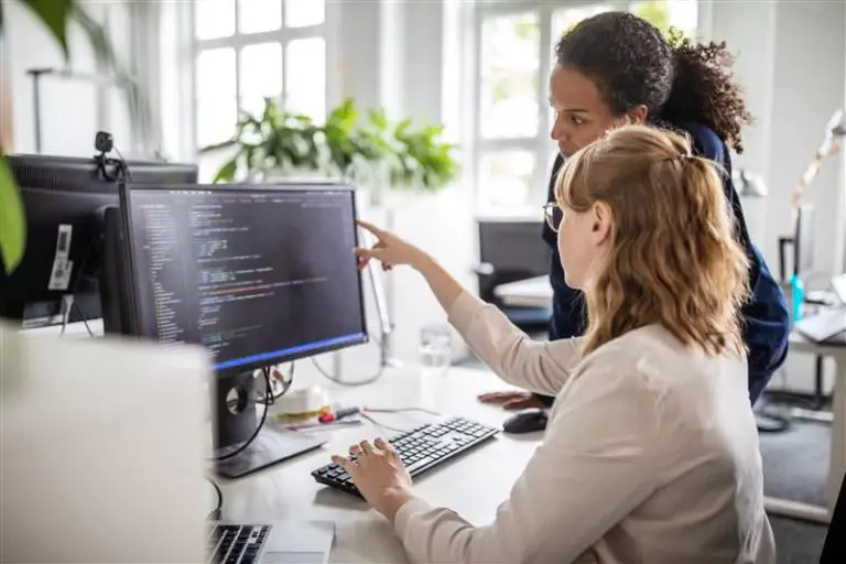 Coworkers Discussing Computer Program In Office