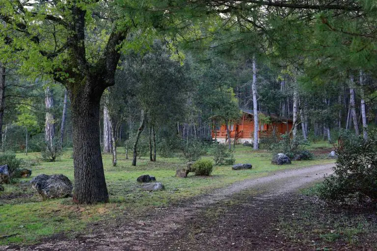 Img 1a2bd28661bbdd82461694b34b244d