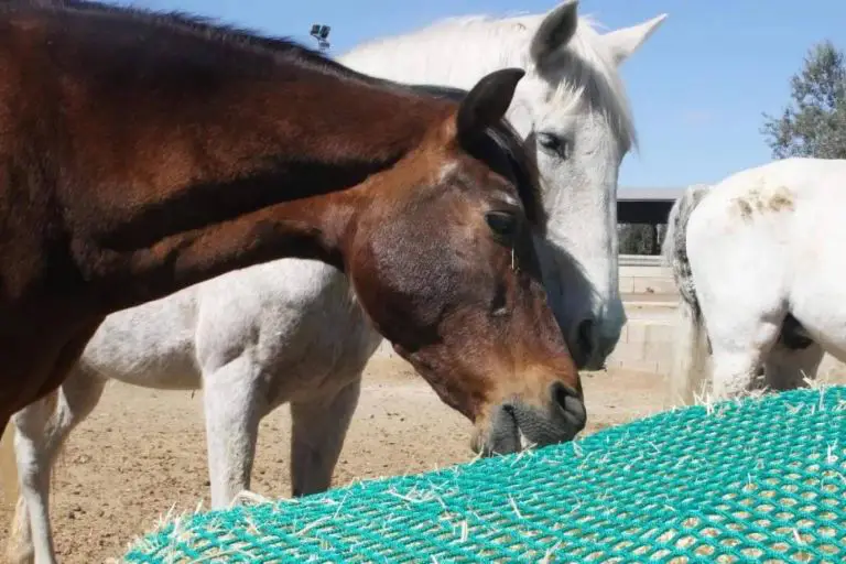 Img Bc276d98e953d6d2b5b255e53efa62a