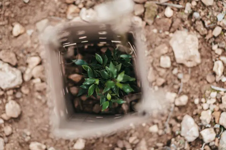 Img D2677d405fa7c1fa62f1f0ff0c92bd8a