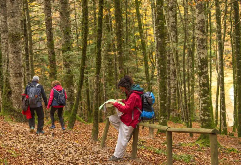Filosofia Y Contexto