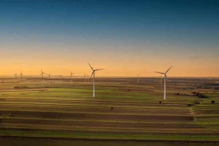 Img 29c2b36ab236a780880a3b5658c973ed