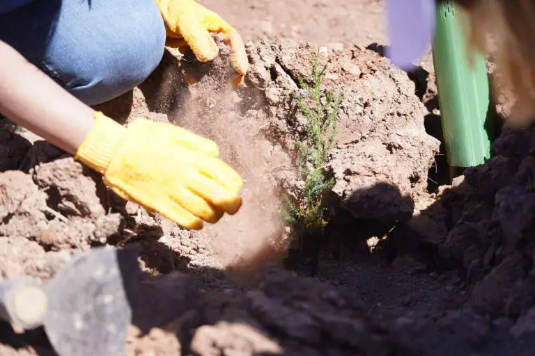 Img 4dbdaec272dedb970c56e0609fedddd