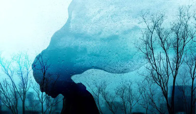 Img 7e01f53b1191a5db05fa0c931f68d