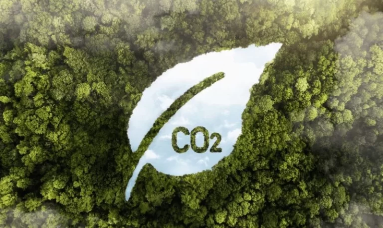 Ness Huella Carbono Rd 214