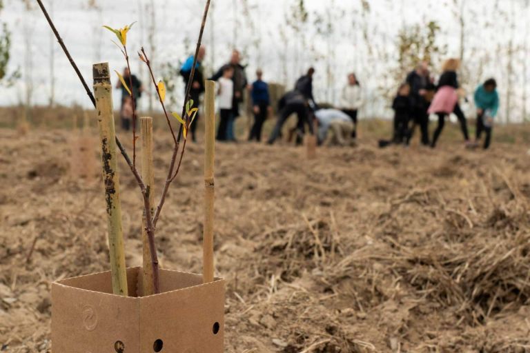 Img 1b2144368aa89cd1680b5ddd17c1481b