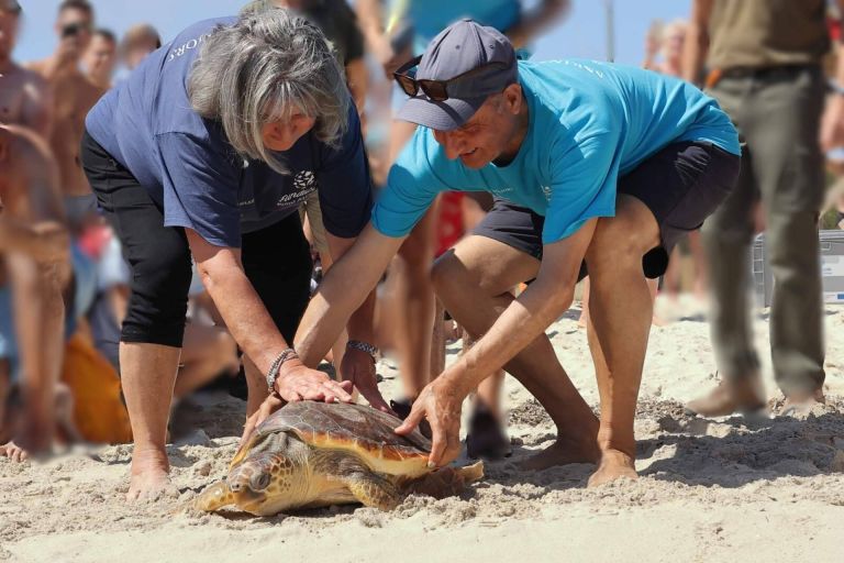 Img 2cd826e5aa0a61afa62f9eae7389f