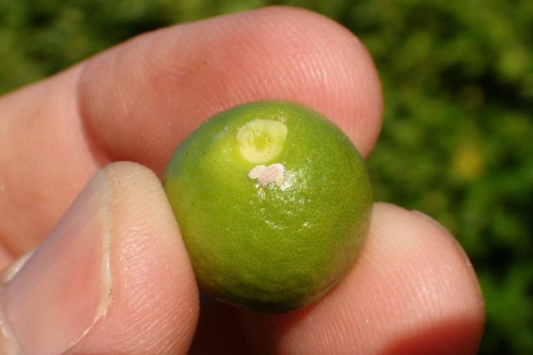 Img 7536c2ee7516d7c05185855b9ca71d7e