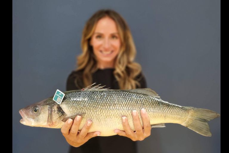 Img B8b2003b0369f6acbc5d360903e722eb