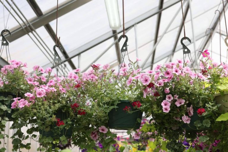 Img C63183ff1ee727c3a26b2aec696569ca