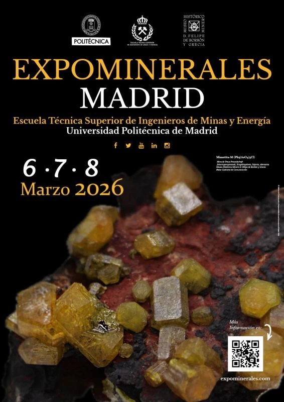 Poster Expominerales