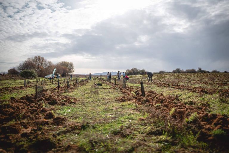 Img 05d30c4e6078bdd8a429ece246e05c4e