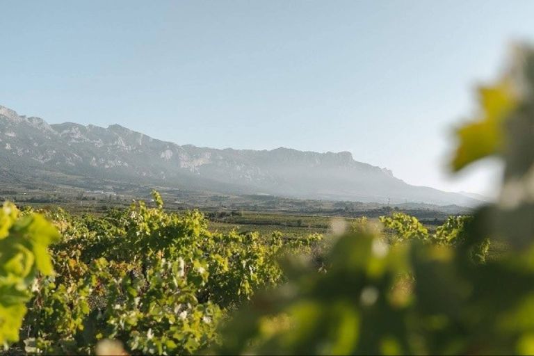 Img 9c9767aeb634298cbaa8cbe4373b