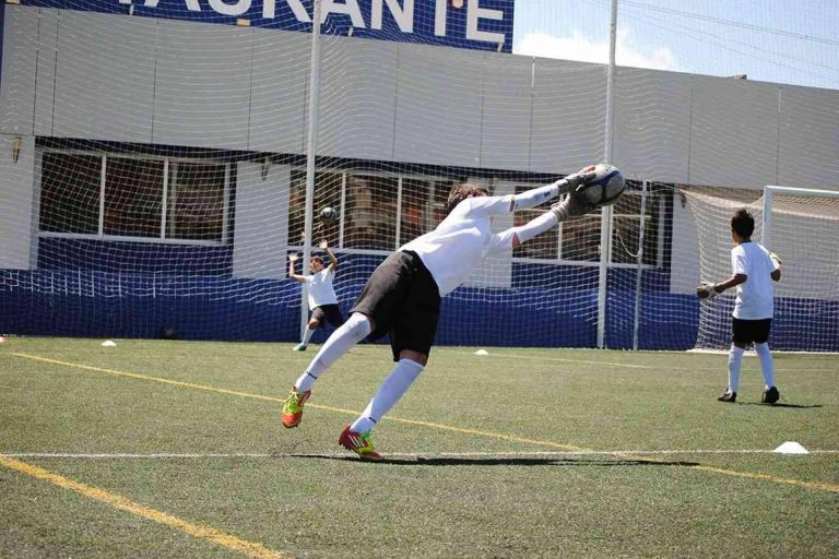 Img Ca2a5ea5255a06af9d19bb5ad1d8b6ce