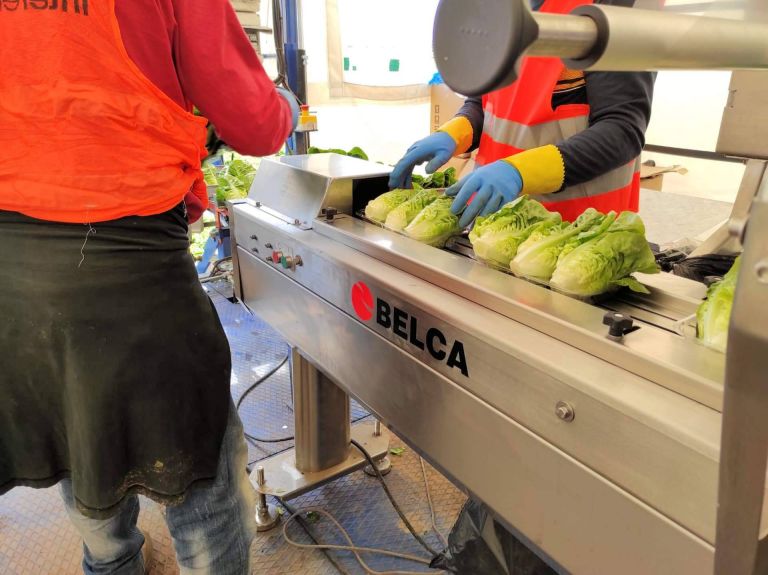 Img E170fd7fee7856a79d35dce17600054b