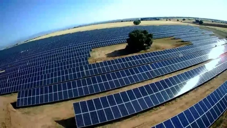 Europapress 6051859 Placas Grupo Audax