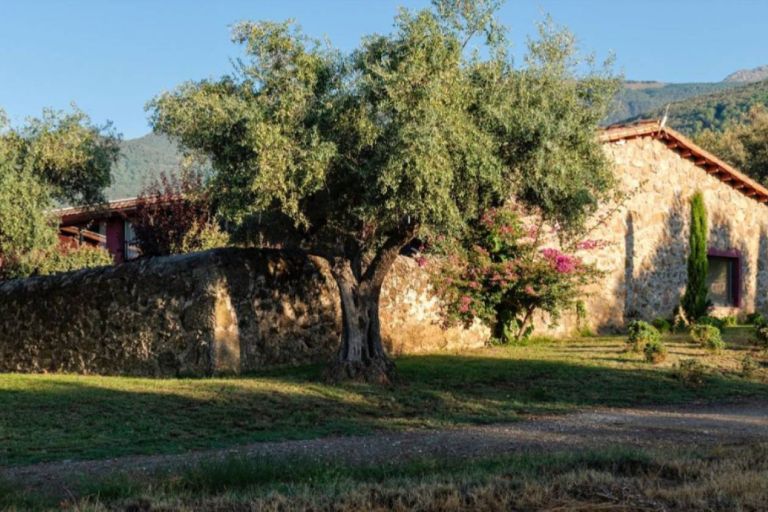 Img D921e50f6af51ada6fae2bdf75f3ecdf