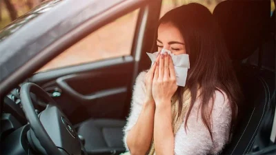 Alergica Al Volante