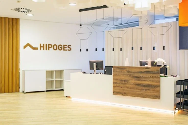 Hipoges New Logo