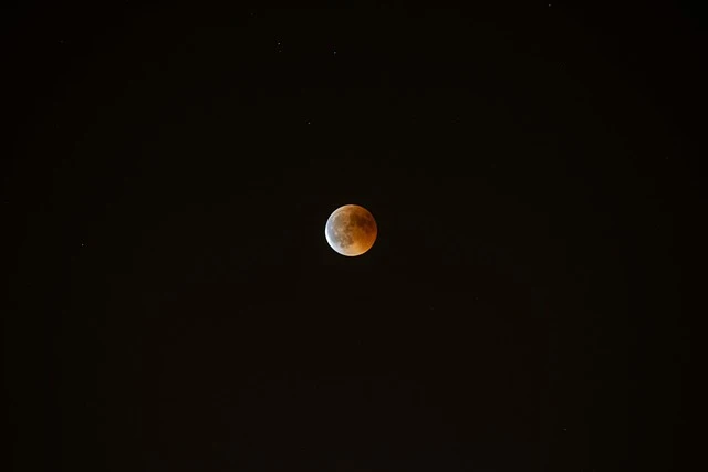 Elg21 Moon 8267178
