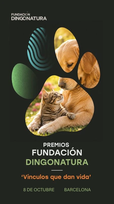 Portada Vdeo Fundaci Dingonatura