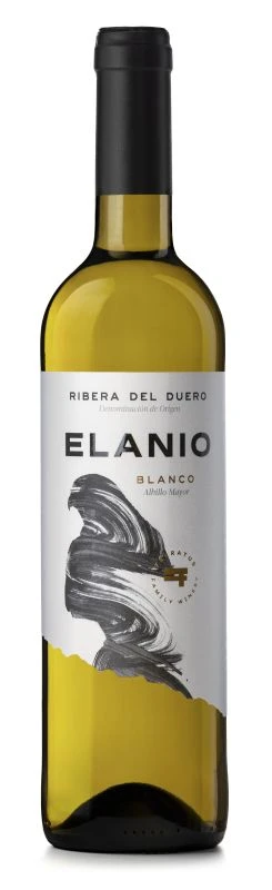 Elanio Blanco