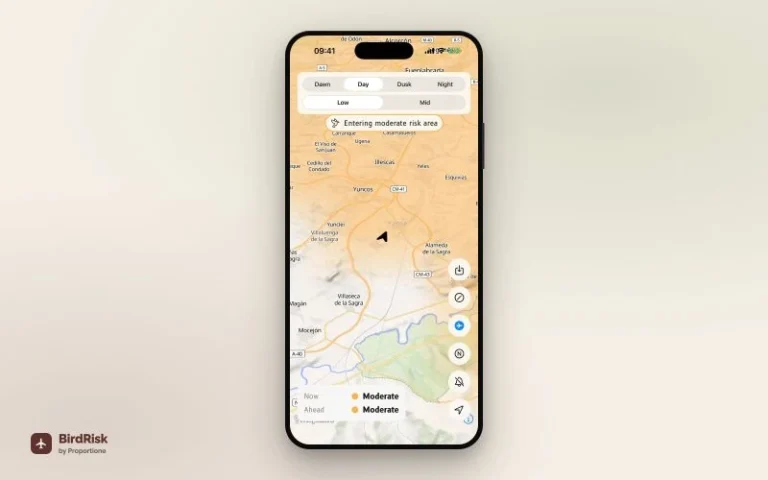 Birdrisk Mockup Iphone