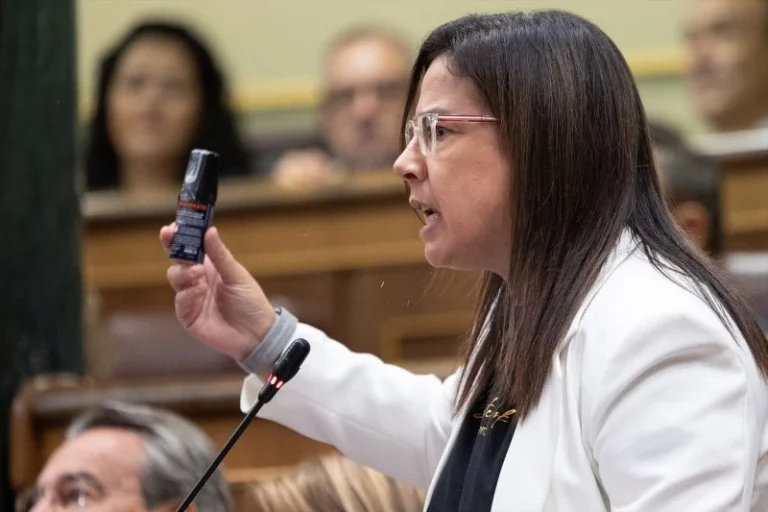 Europapress 7793437 Diputada Pp Ana Belen Vazquez